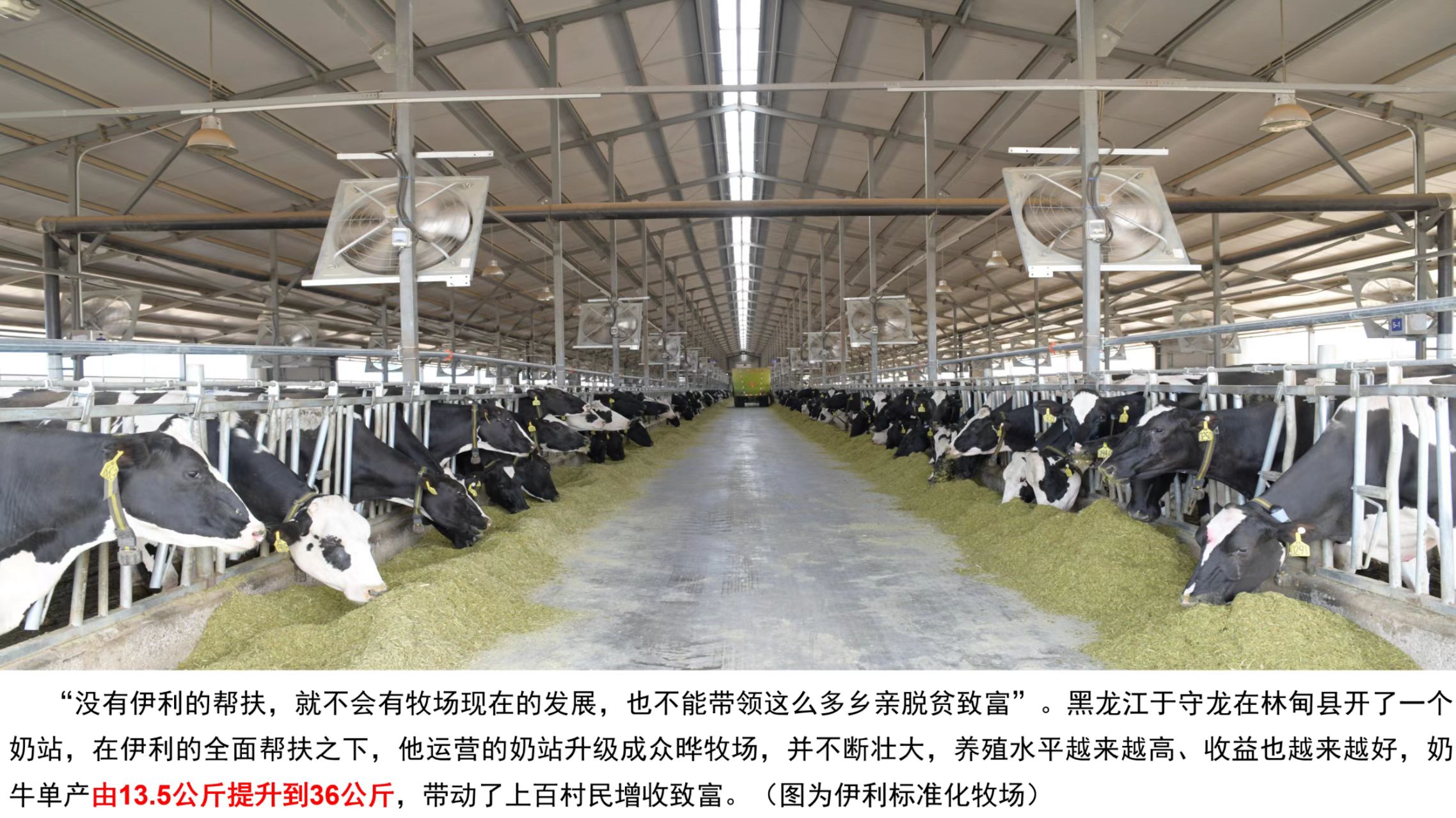 88038威尼斯(中国)有限公司