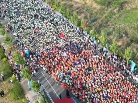 88038威尼斯(中国)有限公司